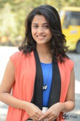 Arthana Binu at Seethamma Andaalu Raamayya Sithraalu Success Meet